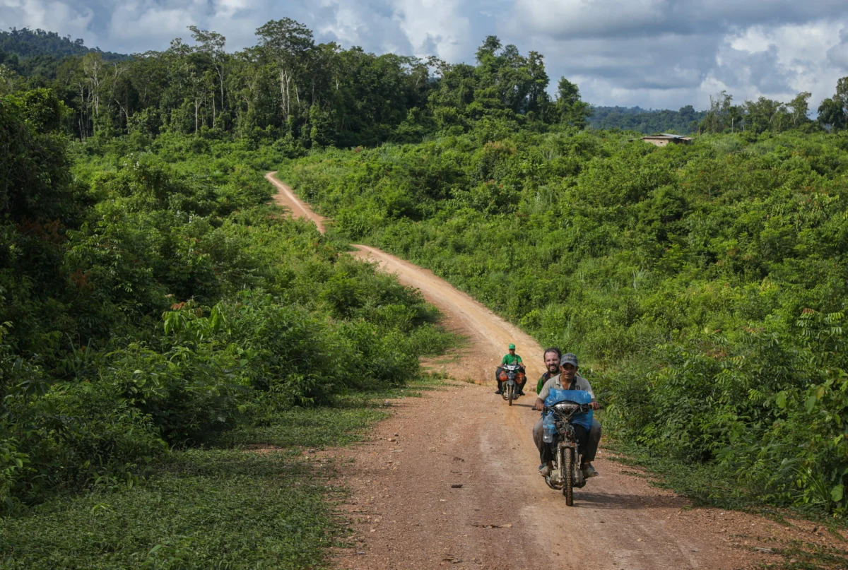 Dams and Deforestation Threaten Cambodia’s Final Frontiers for Biodiversity