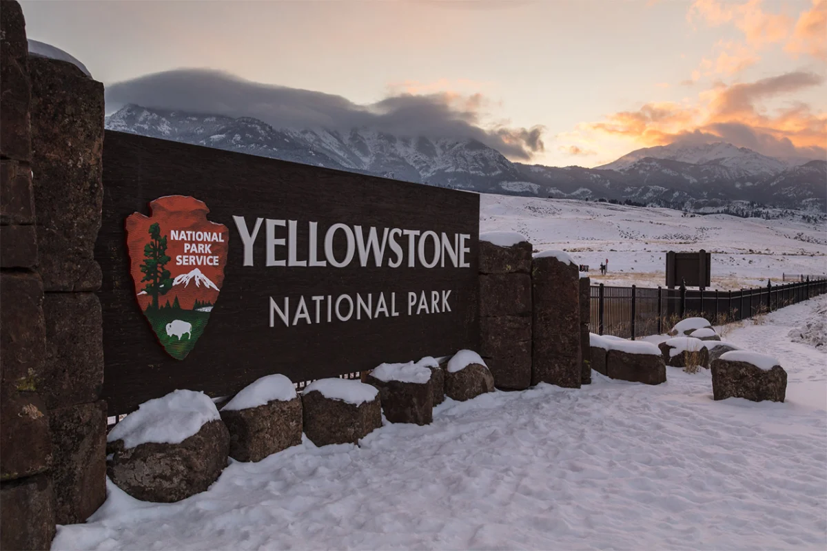 Drugs suspected in Yellowstone fatality