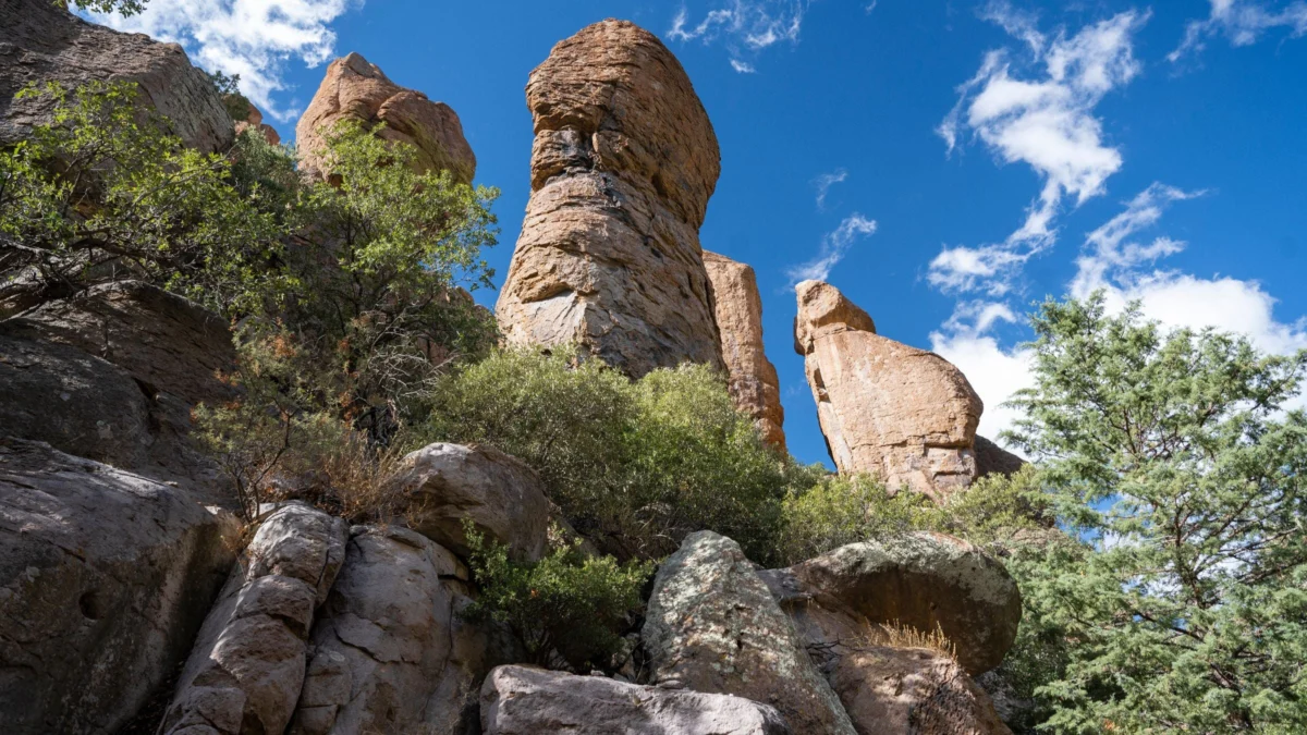The Great National Park Debate: Does Adding New Parks Dilute the System or Protect Our Heritage?